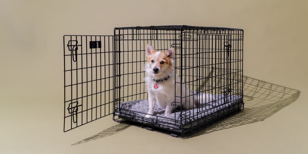 Collapsible Dog Crate