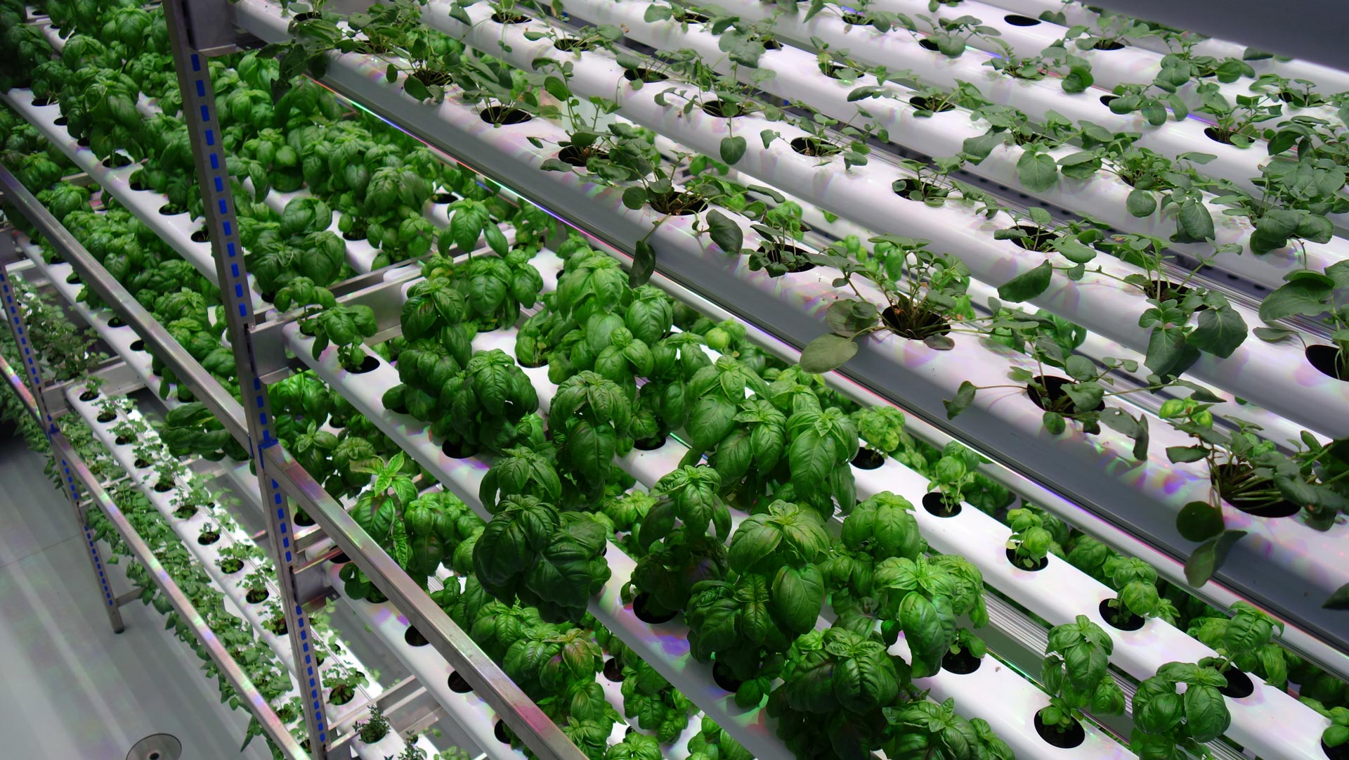 Hydroponics Equipment Supplier Central Coast