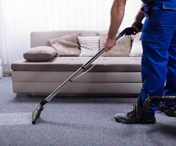 How Often Should You Schedule Professional Carpet Steam Cleaning?