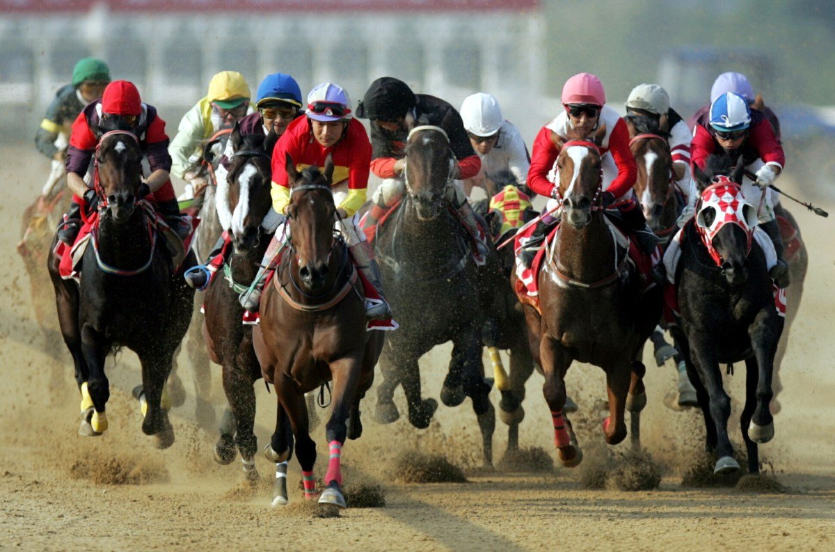 How to Get Into the Winner’s Circle With Race Horse Syndication?