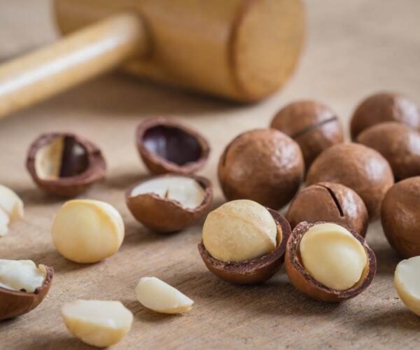 The 5 Best Reasons Why Macadamia Nuts Make the Perfect Gift