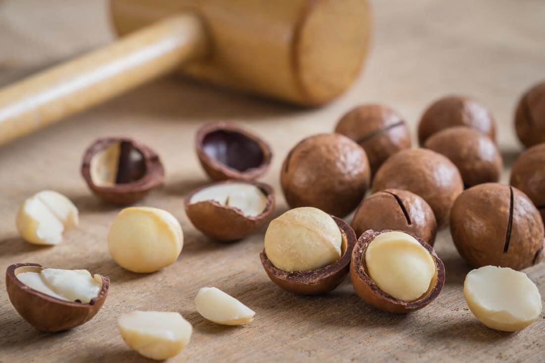 The 5 Best Reasons Why Macadamia Nuts Make the Perfect Gift