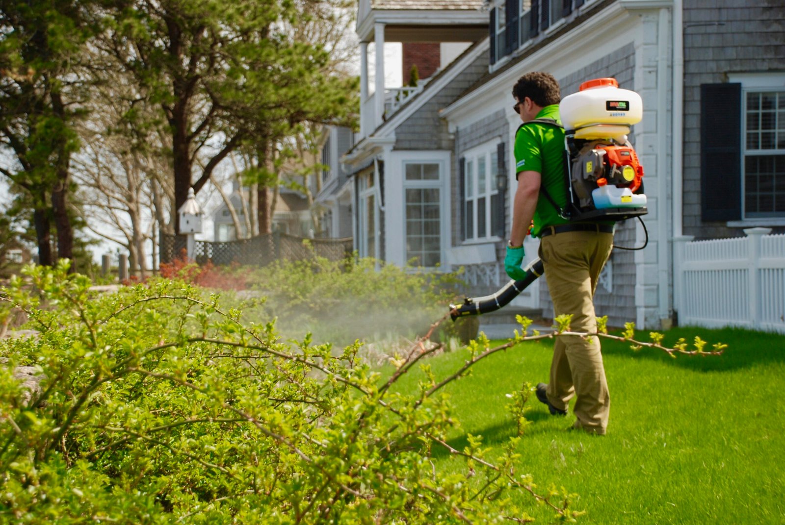 Is Mosquito Spraying Harmful To Your Health?