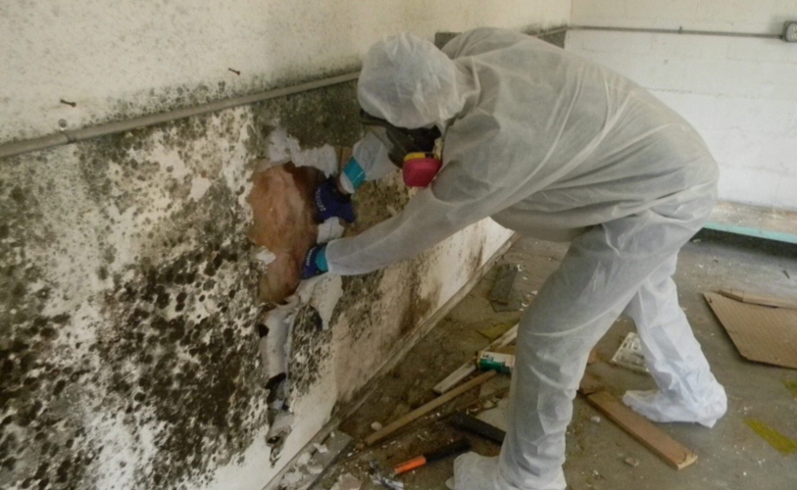 Everything You Need To Know About Asbestos Removal Services