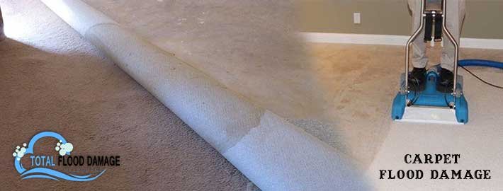 carpet cleaning flood damage