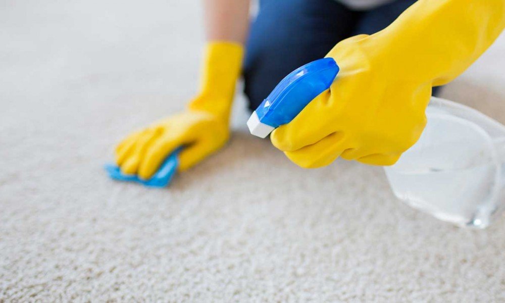 The Factors That Make Bond Cleaning Services So Important