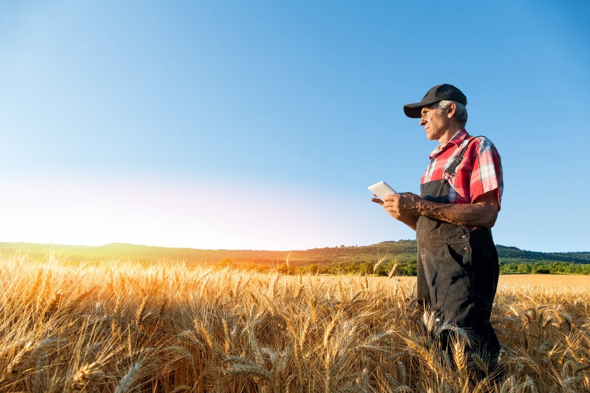 Farming Accounting: Everything You Need To Know About