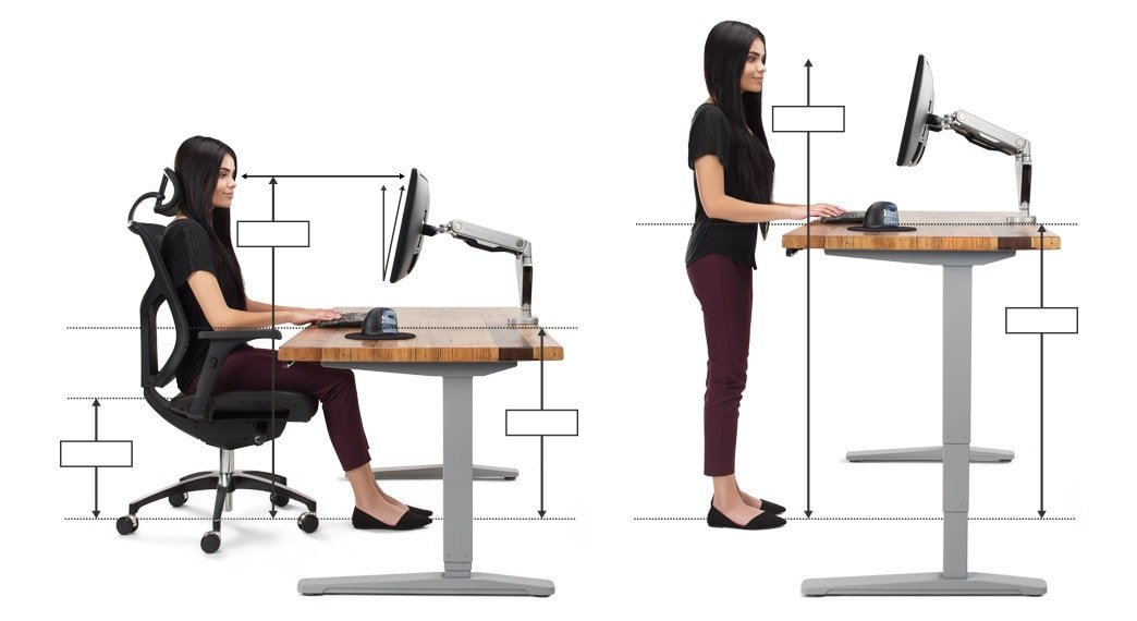 A Comprehensive Guide to the Features of Height Adjustable Desks