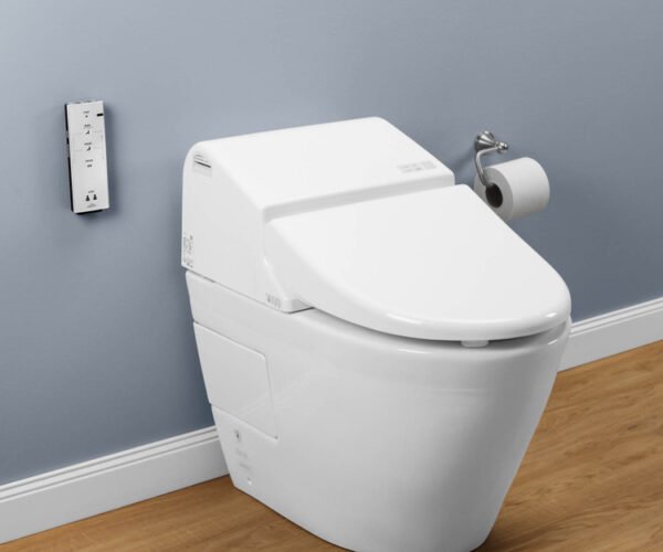 Tips for Choosing the Right TOTO Toilet Model for Your Family
